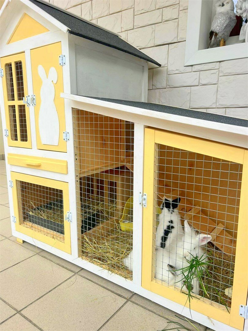 Гостиница Гавана Адлер