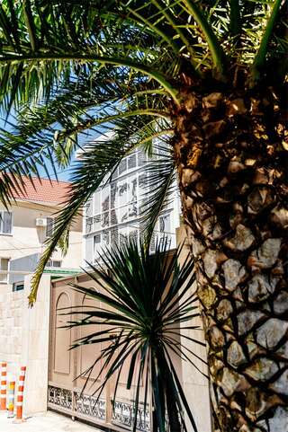 Гостиница Гавана Адлер Стандарт  Двухместный-30