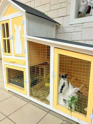 Гостиница Гавана Адлер Стандарт  Двухместный-16