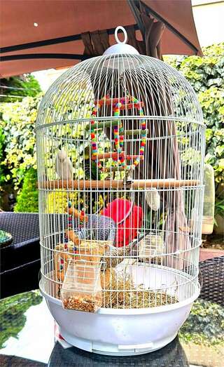 Гостиница Гавана Адлер Стандарт  Двухместный-17